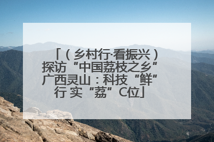 （乡村行·看振兴）探访“中国荔枝之乡”广西灵山：科技“鲜”行 实“荔”C位