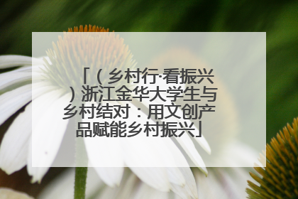 （乡村行·看振兴）浙江金华大学生与乡村结对：用文创产品赋能乡村振兴
