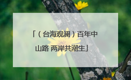（台海观澜）百年中山路 两岸共潮生