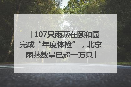 107只雨燕在颐和园完成“年度体检”，北京雨燕数量已超一万只