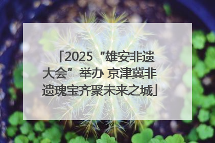 2025“雄安非遗大会”举办 京津冀非遗瑰宝齐聚未来之城