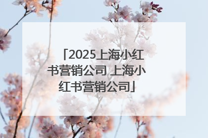 2025上海小红书营销公司 上海小红书营销公司
