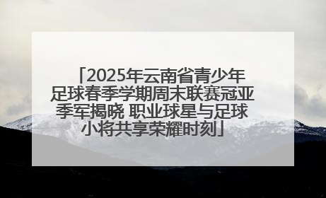 2025年云南省青少年足球春季学期周末联赛冠亚季军揭晓 职业球星与足球小将共享荣耀时刻