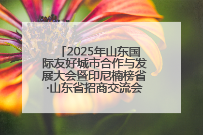 2025年山东国际友好城市合作与发展大会暨印尼楠榜省·山东省招商交流会在济南槐荫举行