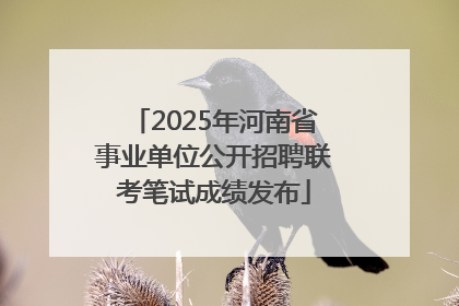 2025年河南省事业单位公开招聘联考笔试成绩发布