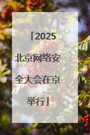 2025北京网络安全大会在京举行