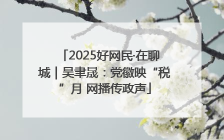 2025好网民·在聊城｜吴聿晟：党徽映“税”月 网播传政声