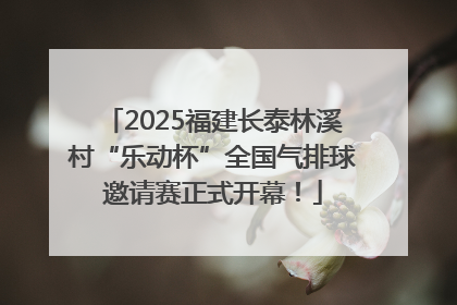 2025福建长泰林溪村“乐动杯”全国气排球邀请赛正式开幕！