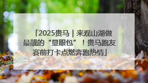 2025贵马｜来观山湖做最靓的“显眼包”！贵马跑友赛前打卡点燃奔跑热情