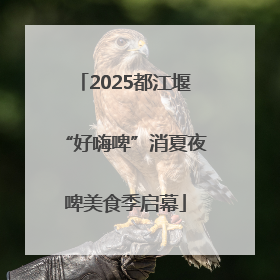 2025都江堰“好嗨啤”消夏夜啤美食季启幕