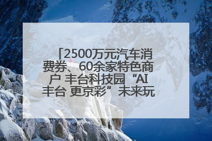 2500万元汽车消费券、60余家特色商户 丰台科技园“AI丰台 更京彩”未来玩家市集活动正式开幕