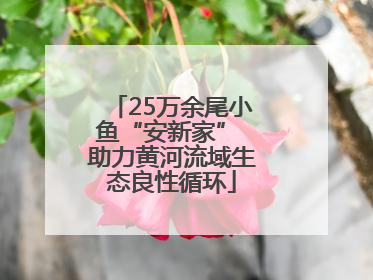 25万余尾小鱼“安新家” 助力黄河流域生态良性循环