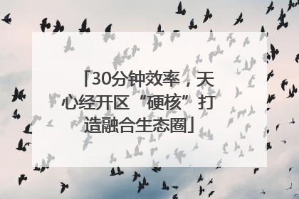 30分钟效率，天心经开区“硬核”打造融合生态圈
