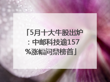 5月十大牛股出炉：中邮科技逾157%涨幅问鼎榜首