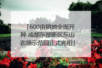 600亩耕地全面开种 成都东部新区东山农场示范园正式亮相
