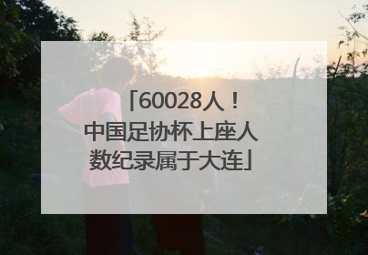 60028人！中国足协杯上座人数纪录属于大连