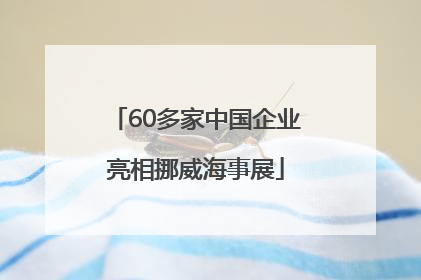 60多家中国企业亮相挪威海事展