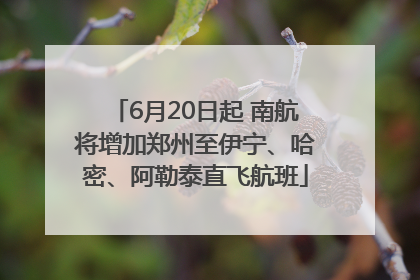 6月20日起 南航将增加郑州至伊宁、哈密、阿勒泰直飞航班