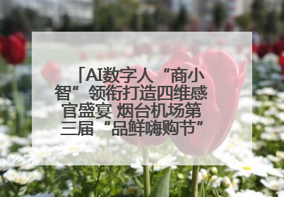 AI数字人“商小智”领衔打造四维感官盛宴 烟台机场第三届“品鲜嗨购节”智趣启航