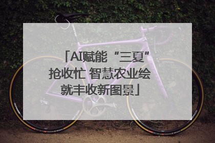 AI赋能“三夏”抢收忙 智慧农业绘就丰收新图景