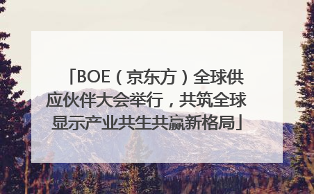 BOE（京东方）全球供应伙伴大会举行，共筑全球显示产业共生共赢新格局